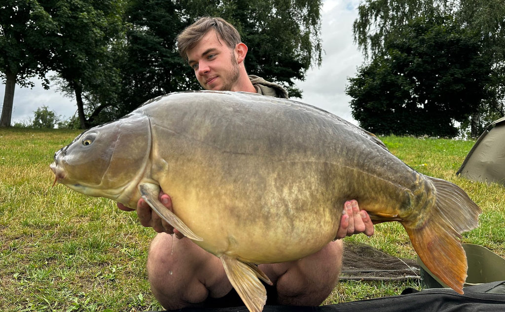 Asafoetida Boilies für Karpfen: fängige Enzym Boilies mit intensiver, markanter Note.
