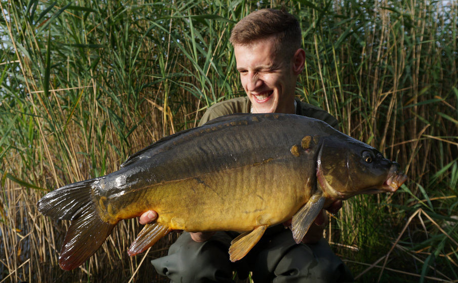 Ein Karpfen nach dem anderen fand Gefallen an meinen neuen Boilies und den natürlichen Attraktoren.