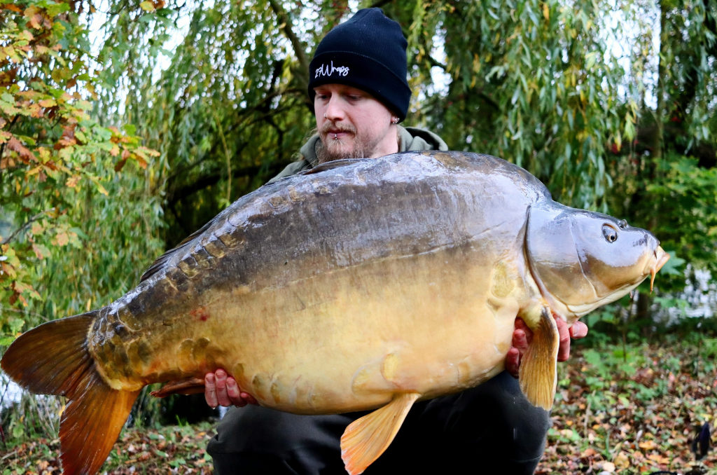 Gerade die großen Karpfen werden regelmäßig mit unseren Enzym Boilies gefangen.