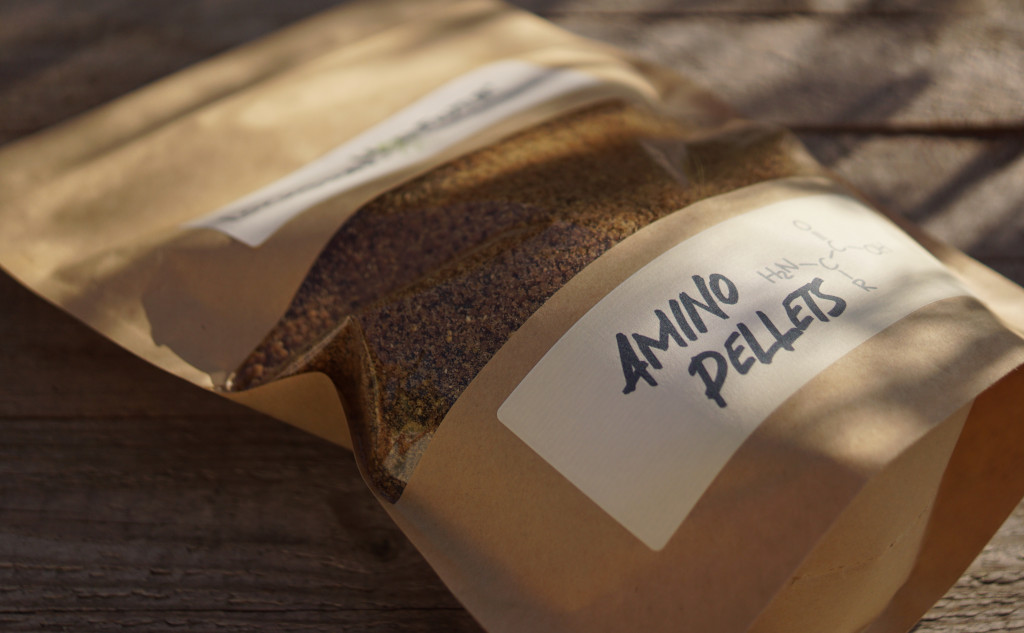 Amino Pellets für Karpfen: zum Füttern, als Teig oder Matchteig.