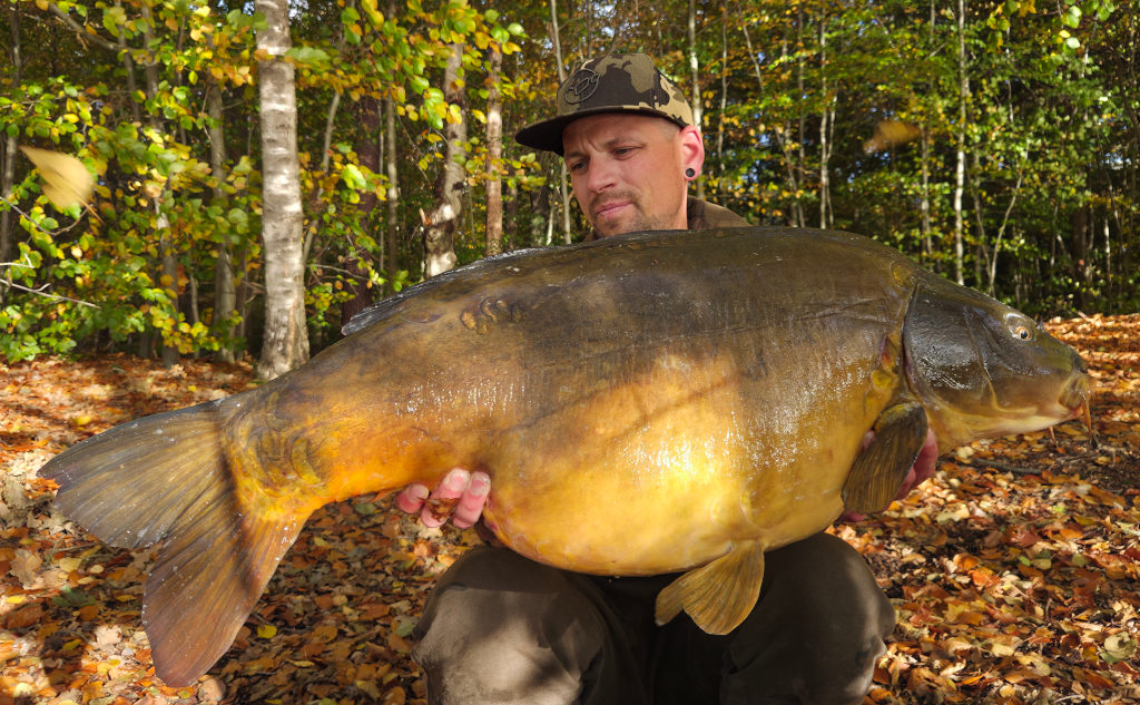 Ideal für den Futterplatz: die Scopex Plus Boilies sind Premiumboilies zum Sparpreis!