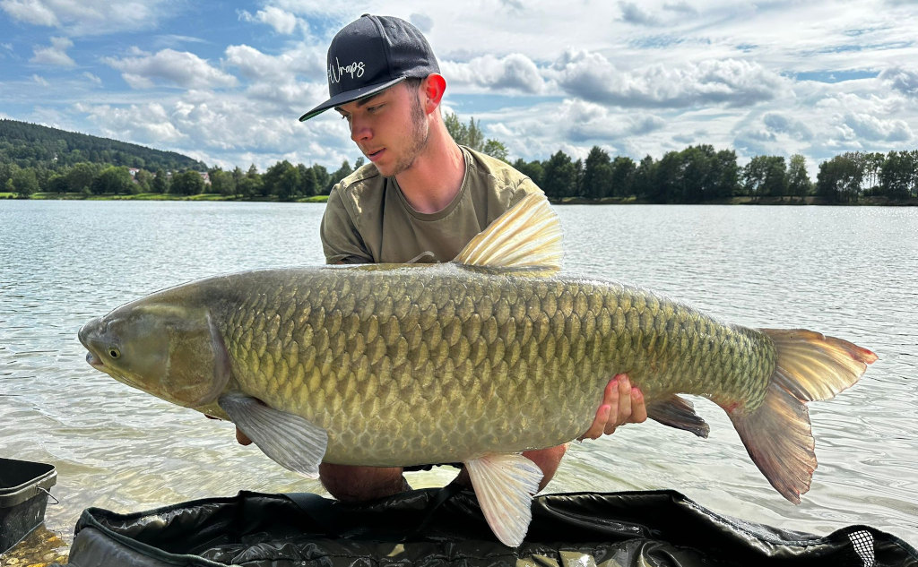 Ob instant oder auf dem Futterplatz - der Asafoetida Enzym Boilie fängt immer und überall Karpfen.