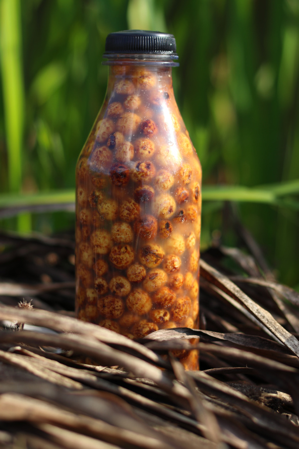 Fermentierte Tigernüsse für Karpfen - besonders schnell und einfach in einer Liquidflasche zubereitet.