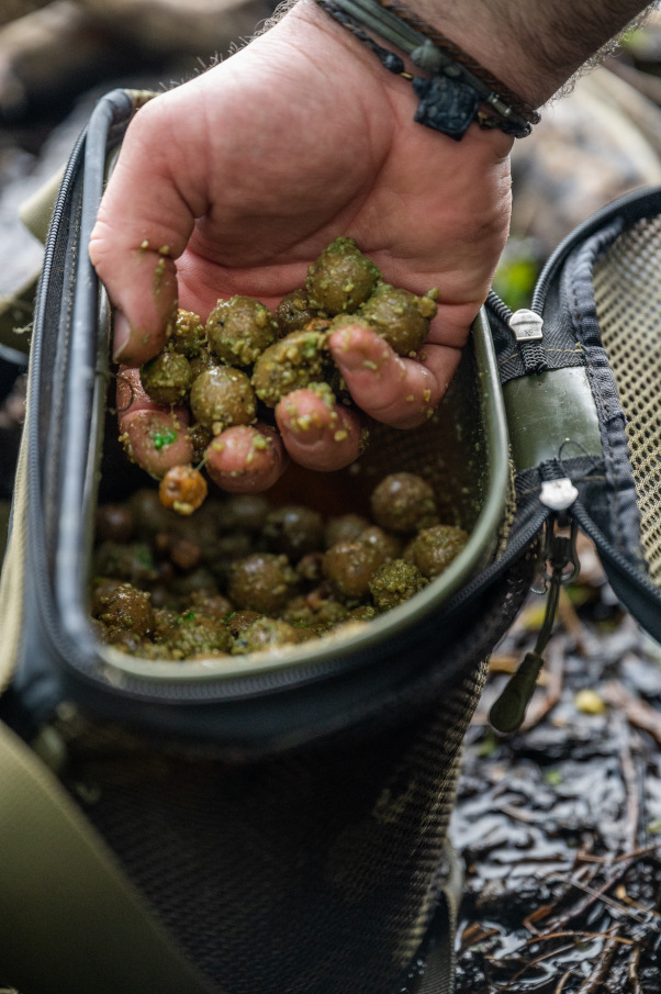 Regelmäßiges Füttern ist am Kanal das A und O - so gewöhnen sich die Karpfen langsam an die Boilies.