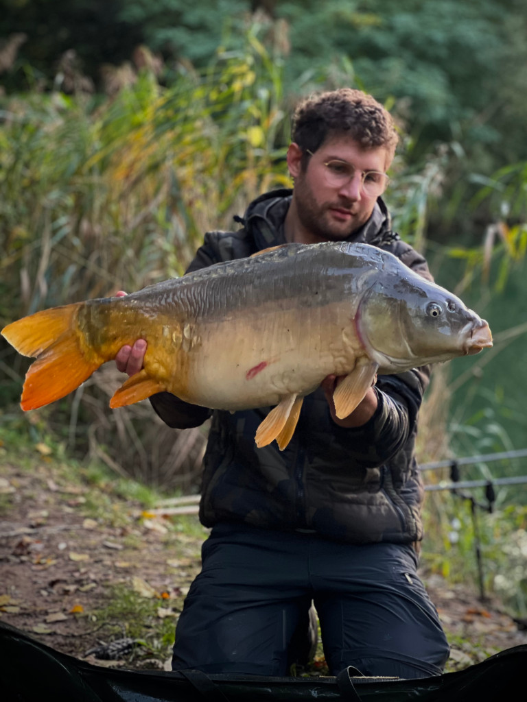 Enzym Leber Boilies: die Liva'ZYM Boilies sind perfekt zum Karpfenangeln im Herbst.