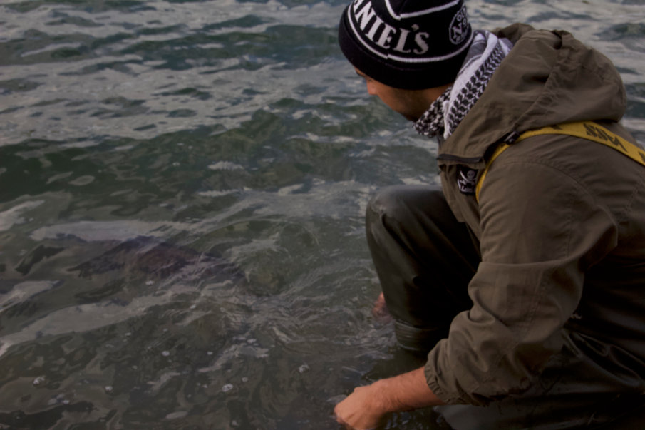 Platz, Gewässer oder Futter? Beim Karpfenangeln mit Boilies spielen viele Faktoren eine Rolle, um große Karpfen zu fangen.