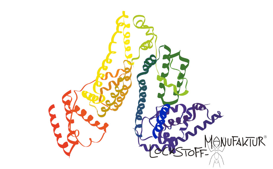 Enzyme sind die Katalysatoren der Natur - sie ermöglichen viele lebensnotwendige Prozesse.