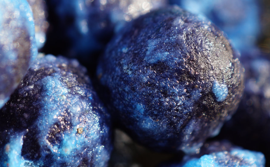 Besonders auffällige Farben sorgen im Winter für Bisse - blau ist für den Karpfen sehr gut wahrnehmbar.