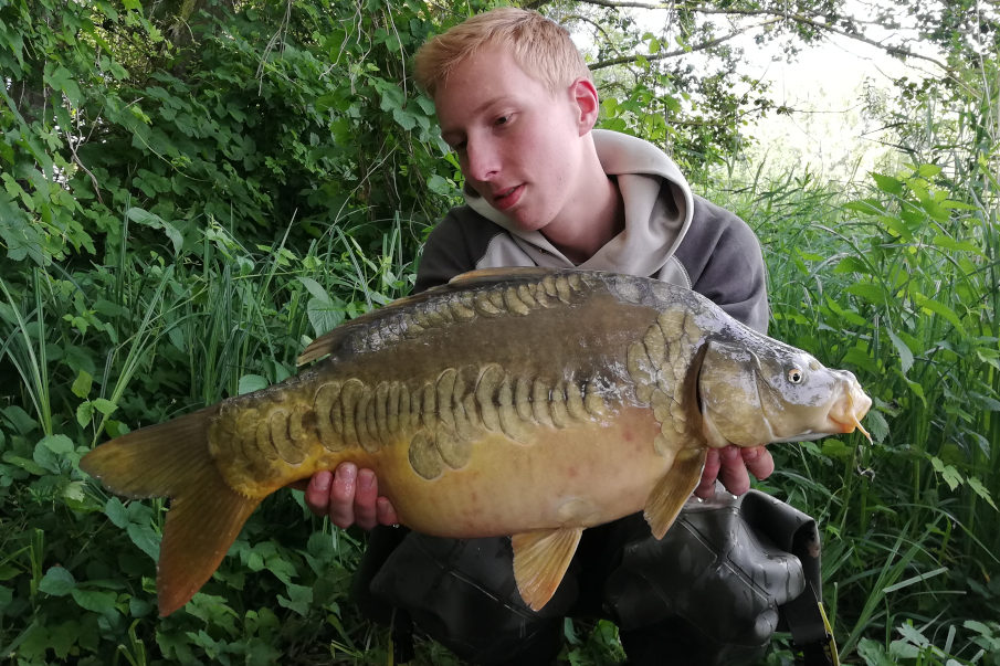 Ein schöner Zeilenkarpfen aus dem Sommer - ein hart erarbeiteter Fisch für Lukas.
