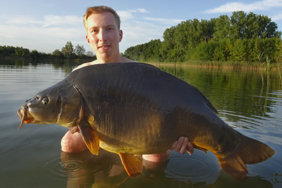 Der erste Fisch auf dem Futterplatz - einer der größten Karpfen des Gewässers!