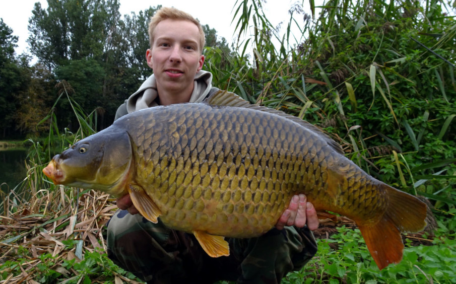 Lukas mit einem schönen Schuppenkarpfen aus dem Fluss.