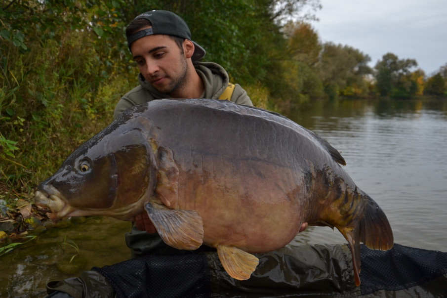 Auch im Herbst erfolgreich auf Karpfen - Yassin mit einem großen Spiegelkarpfen, der seinen Boilies nicht widerstehen konnte.