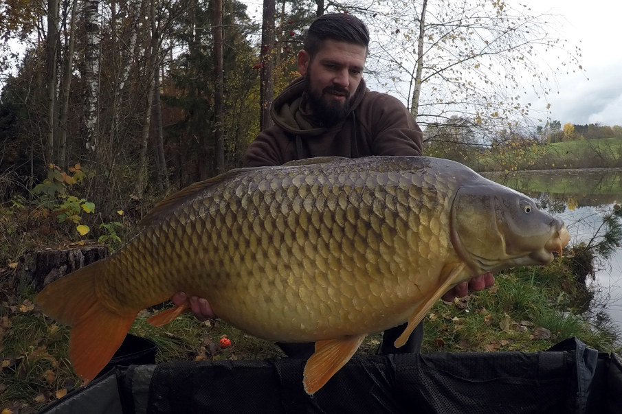 Ein guter Futterplatz bringt beim Karpfenangeln auch im Herbst und Winter noch viele Fische an den Haken.