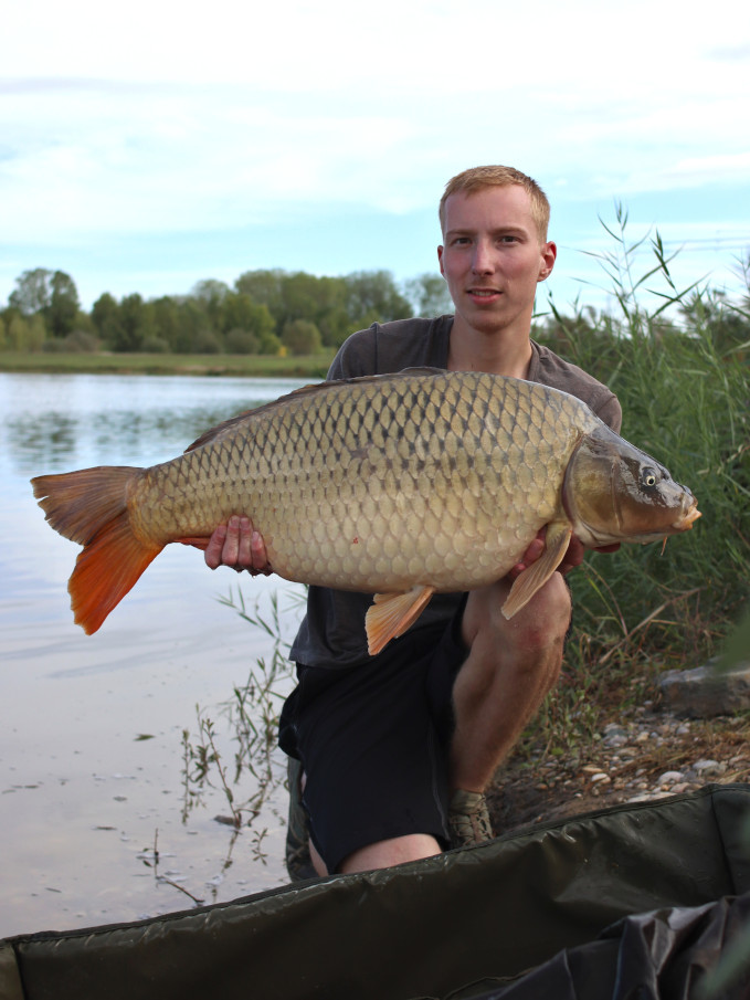 Karpfenangeln in Kroatien - wilde Schuppenkarpfen, dicke Spiegler. Mit den richtigen Lockstoffen werden die Boilies so richtig fängig!