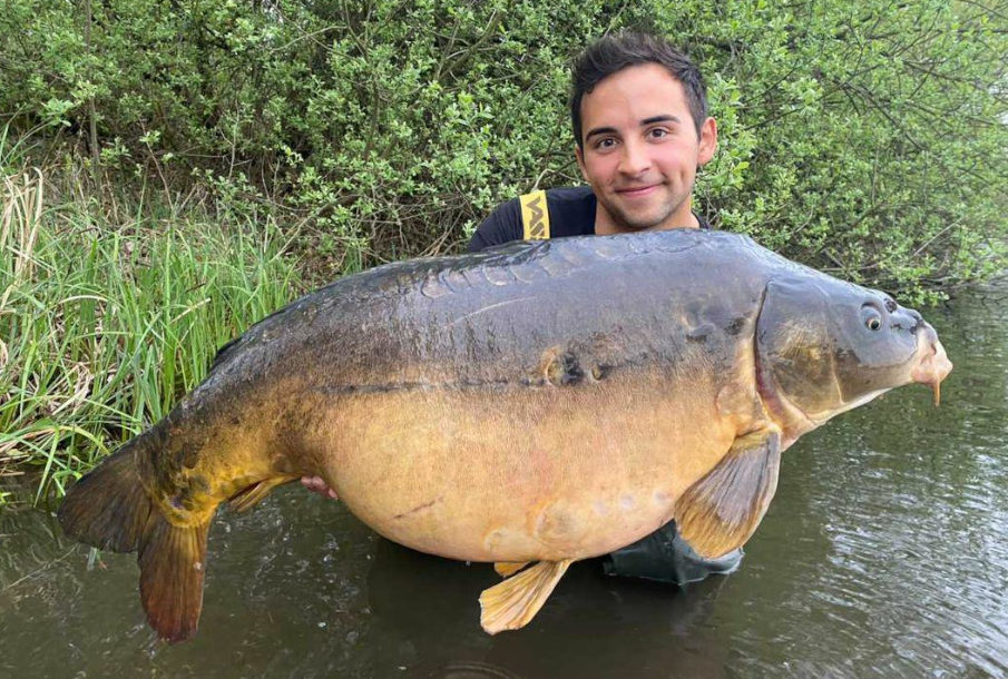 Enzyme sorgen dafür, dass die Boilies vom Karpfen schneller gefunden und besser verdaut werden können - dieser große Spiegler beweist es.