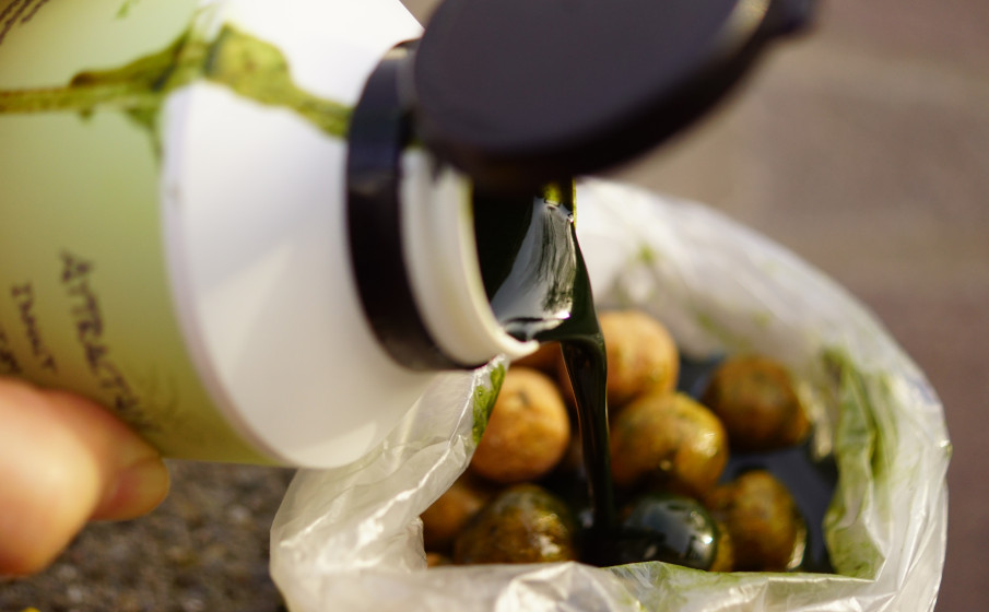 Boilies soaken - mit einem speziellen Soak kann man seine Köder noch attraktiver für den Karpfen machen.