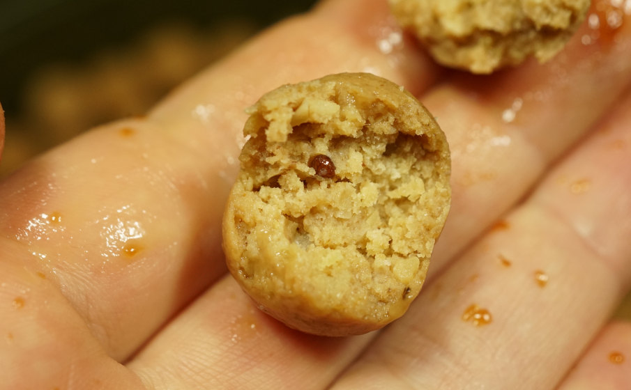 Enzyme machen die Boilies weicher, löslicher und wesentlich attraktiver für den Karpfen.