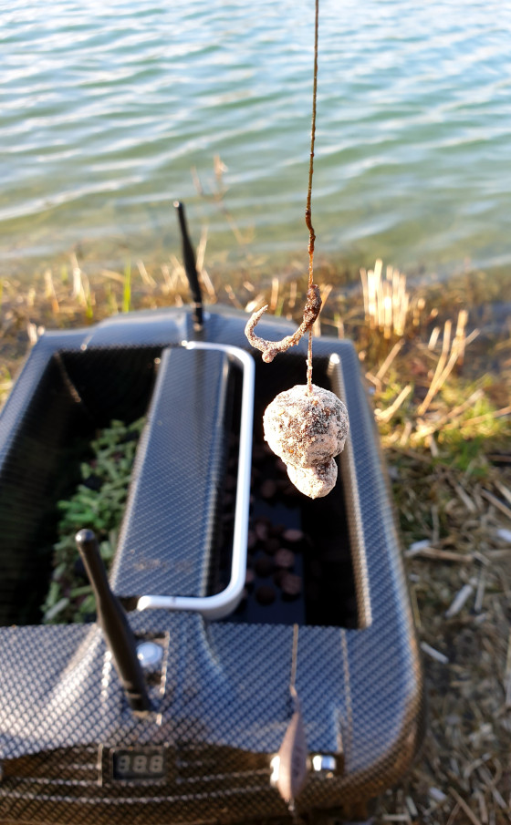 Individueller Soak, Jellyfish und eine gute Location - Gerolds Schlüssel zum Erfolg!