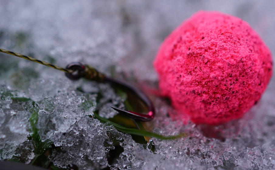 Unser Jellyfish als Powder Dip ist in der schnell arbeitenden, gut wasserlöslichen "weak"-Version besonders auch bei niedrigen Wassertemperaturen sehr fängig.