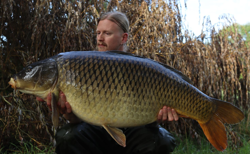 Ganzjährig fängig und attraktiv für Karpfen: Enzym Boilies aus natürlichen Zutaten. Jetzt bestellen!