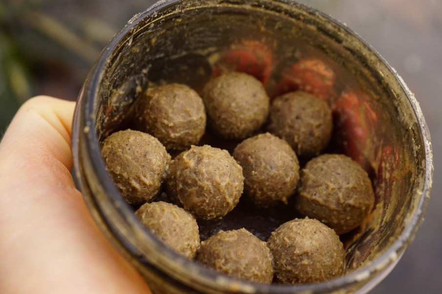 Enzymbehandelte Boilies sind extrem gute Karpfenköder...