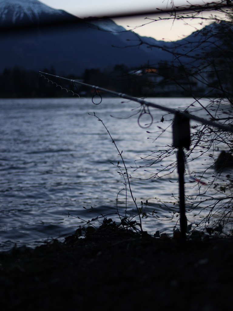 Karpfenangeln mit Enzym Boilies - auch am Bled sehr erfolgreich.