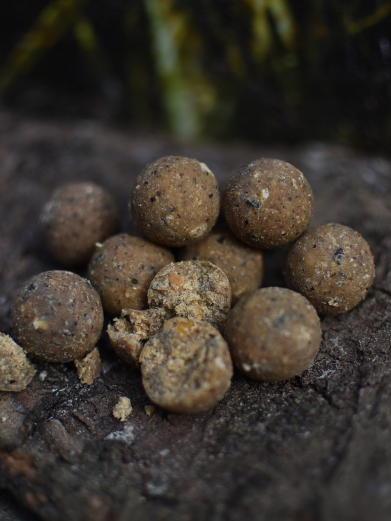 Enzymatisch aufgeschlossen, hochattraktiv für Karpfen und extrem fängig: unsere Enzym Boilies.