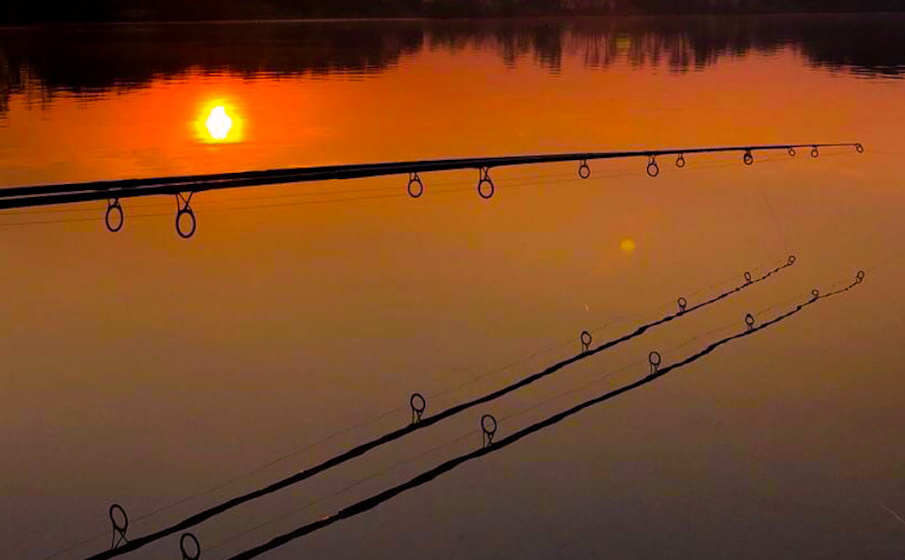 Boilies aus meinem eigenen Mix und Tigernüsse - die Ruten lagen und die Fische konnten kommen...