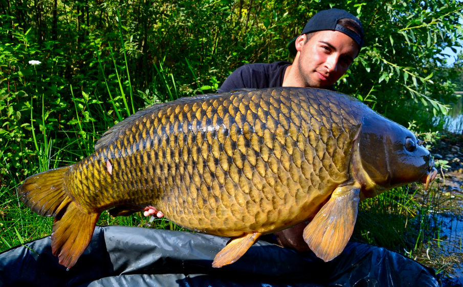 Frische, hochwertige und fängige Zutaten für Boilies - bei der Lockstoff-Manufaktur stimmt einfach alles!