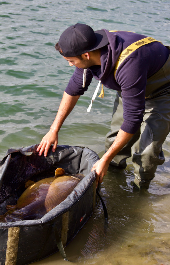 Enzyme machen Boilies leichter wahrnehmbar, verdaulicher und wesentlich fängiger.