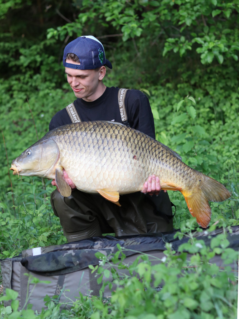 Pop Ups zum Karpfenangeln: fängige, ultra schwimmfähige Pop Ups hier bestellen!