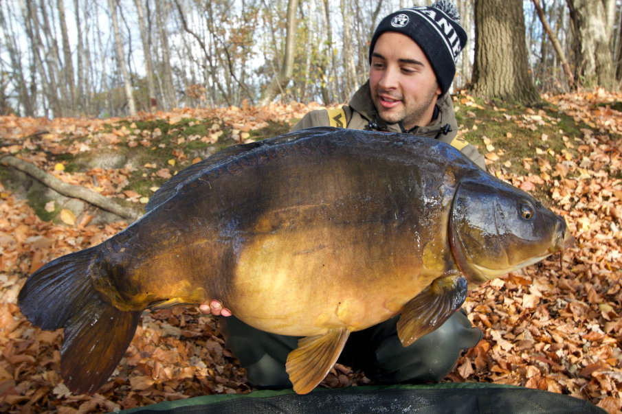 Ein Karpfen nach dem anderen biss auf die mit Attraktoren angereicherten Boilies...