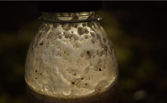 Ein Kokos Liquid aus natürlichen Zutaten - für schnelle Bisse und große Karpfen!