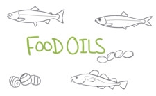 Fischöle, Hemp Seed Oil und Tigernut Oil für die Boilieherstellung und das Angeln auf Karpfen.