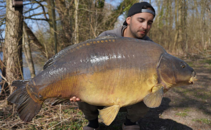 Green Zing Pop Ups für Karpfen - fängige Pop Ups fürs Karpfenangeln.