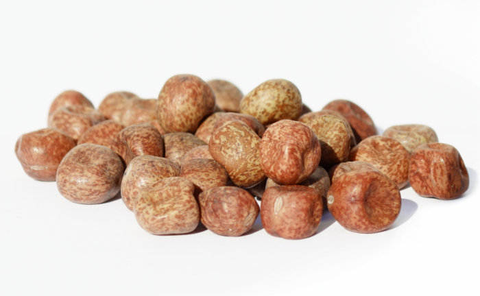 Maple Flavour für Boilies, Matchfutter und Matchteig - lösliches Maple Flavour für Karpfen.