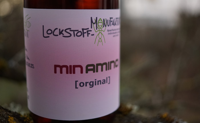 Minamino für Boilies - das original Minamino von Ambio für Karpfen.