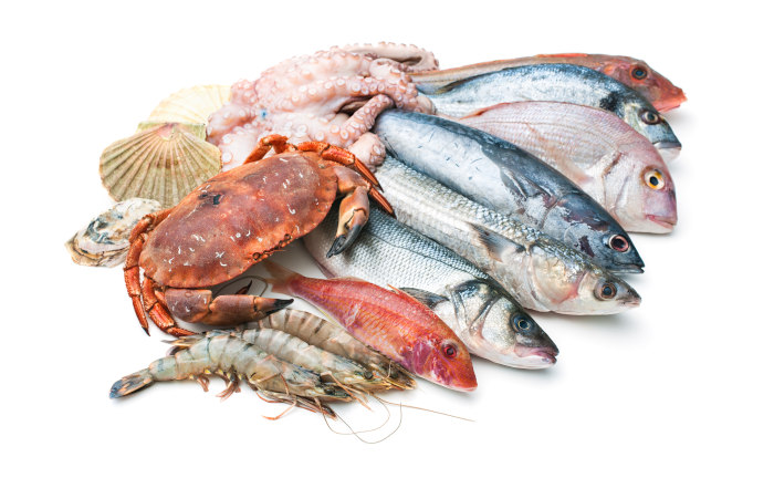 Natural Fish Flavour für Boilies - natürliches, wasserlösliches Fisch Flavour für Karpfenköder.