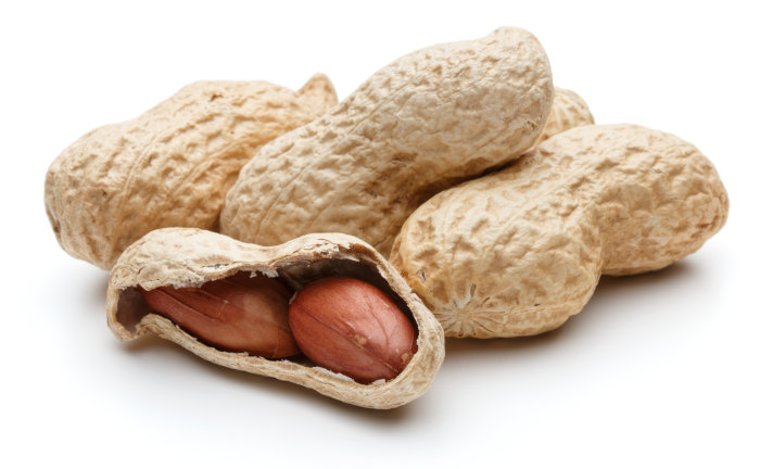 Peanut Flavour für Boilies - intensives, wasserlösliches Erdnussflavour für Karpfenköder.