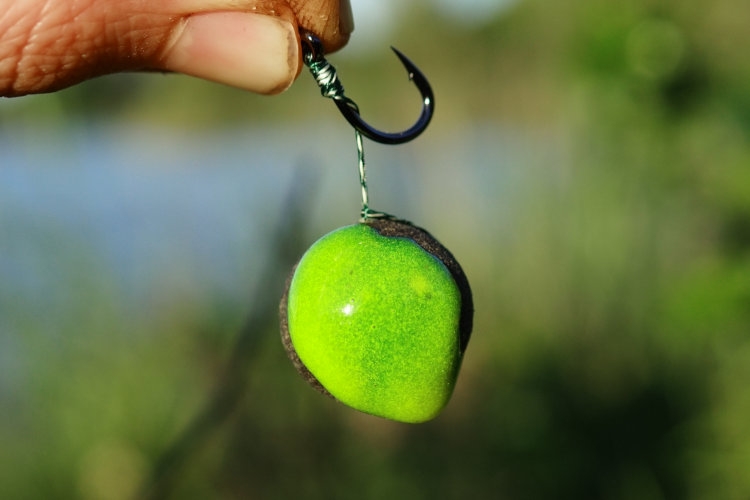 Spook Bait Smoke Tonka ist ein fängiger Lockstoff für Karpfen zum Behandeln von Boilies.