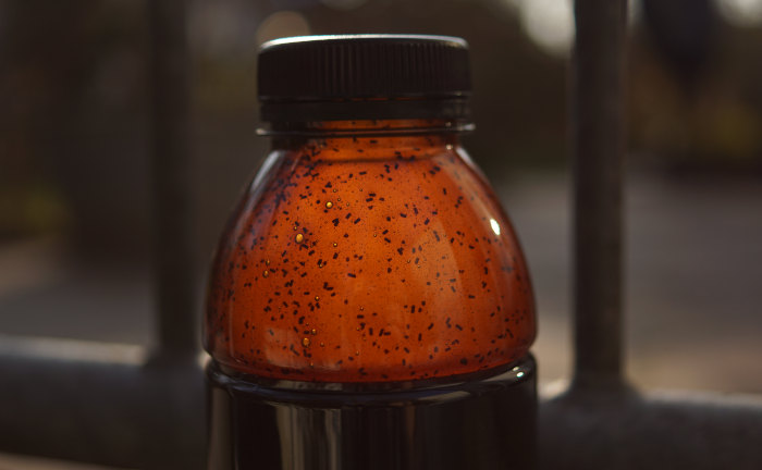 Das wasserlösliche Squid Liver Liquid macht jeden Boilie zu einem besonders fängigen Karpfenköder!